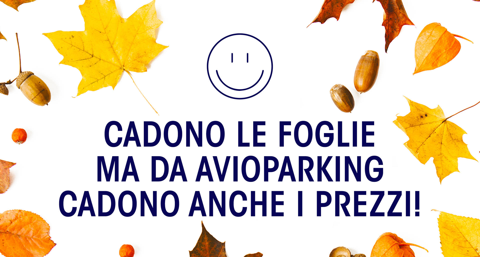 PROMO D'AUTUNNO ? Sconto del 23%